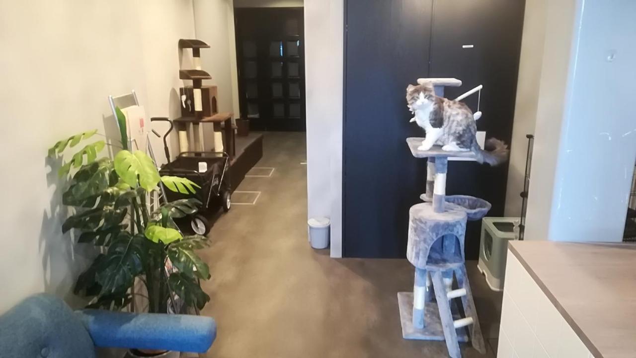 Cote Sakuragawa "Room 201,301,401" - Vacation Stay 03144V โอซาก้า ภายนอก รูปภาพ